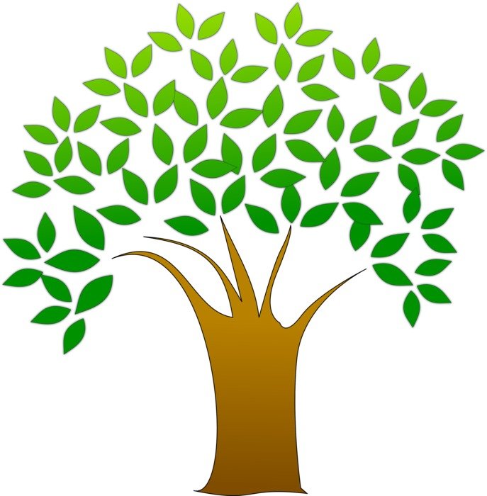 tree computer image