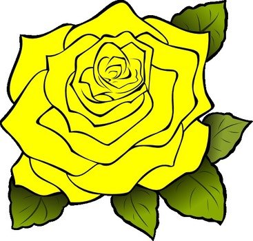 Yellow Rose Border Panda Free Images N2