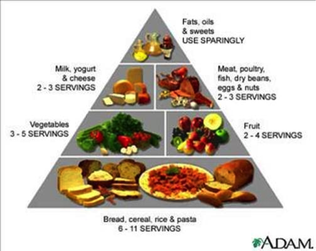 Food pyramid for proper nutrition free image download