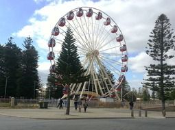 big ferris wheel in the city of fremantle in australia