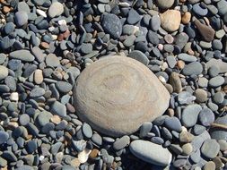 Smooth stone grey on beach