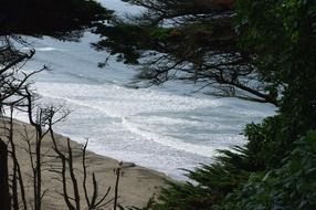 Sandy Ocean beach in California