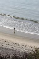 walk along the coast in San Diego