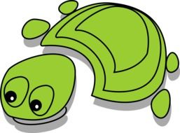 green turtle on white background