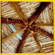 roof wood tropical exotic