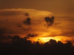 orange clouds and golden light over dark bushes