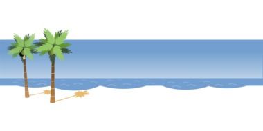 beach sea sand and palm drawing