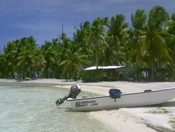 boat on the shore of a tropical island