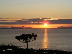 evening silhouettes by the ocean