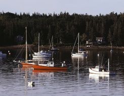 boats in the Southwest harbor