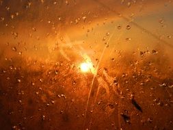 water drops on orange sunset background