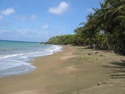 panoramic view of a deserted caribbean beach