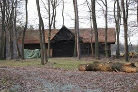 wooden shed in a gloomy autumn forest