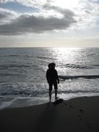 sillhoutte on the beach