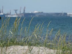 Beach of Landskrona