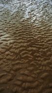 beach low tide