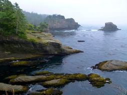 cape flattery mist fog