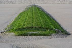 breakwater beach green ground