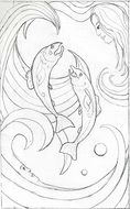 water fish drawning