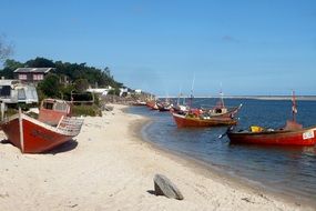 fishing boats near the shore