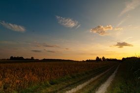 country road under the evening sky