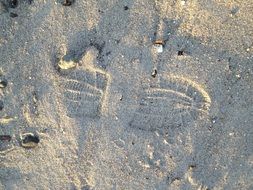 boot track on a sandy beach close-up