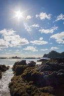 rocky coast in new zealand