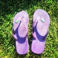 purple slippers on the grass