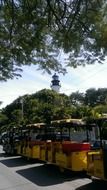 view of the lighthouse behind the trees