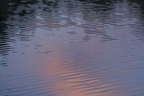 calm water in a river with small waves