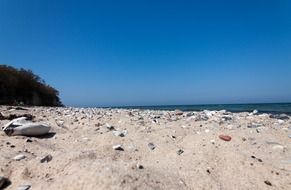 white stones on a sandy beach