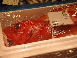 fish in a box in the Japanese market