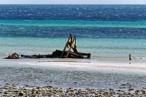 wreck on the shore