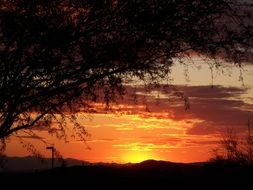 arizona sunset