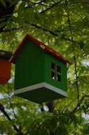 Little green house on a tree in the park, south korea