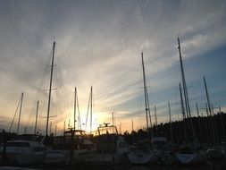 Boats in the harbor