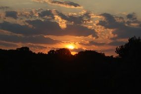 setting sun in the clouds over the dark silhouettes of trees