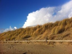 splendid dunes beach