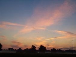 evening sky over the trees