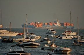 landscape of breathtaking yachts in ocean harbor