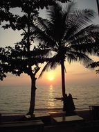 palms on a paradise beach at sunset