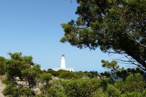 distant view of a white lighthouse among conifers