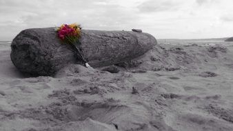 color bouquet on a black-white phot