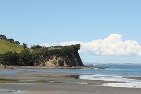 hill in shakespeare reserve in New Zealand