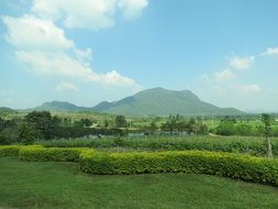 vineyard travel agriculture