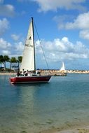 sailing boat in the sea on a clear day