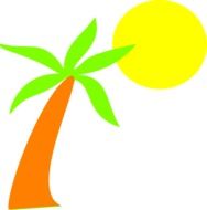 palm and sun as a drawing