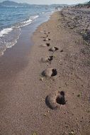 deep footprints in wet sand on the beach