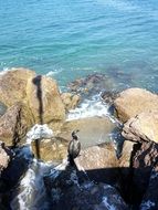 stone beach in santa barbara