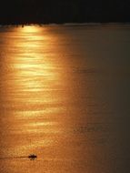 ship on the lake in the evening